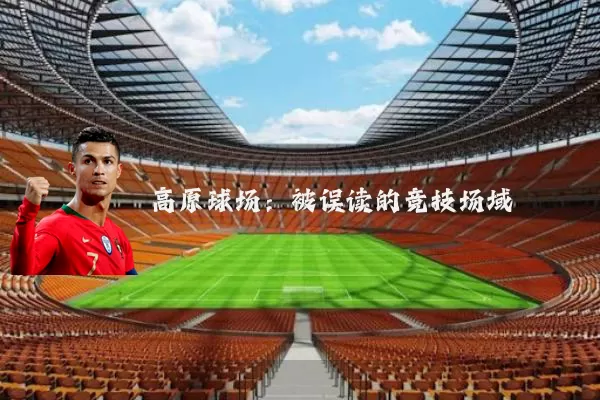 高原球场：被误读的竞技场域